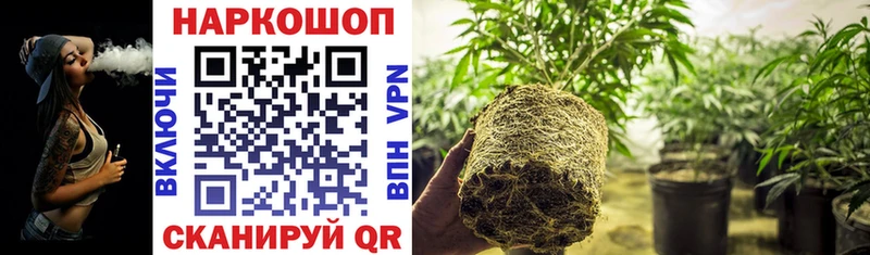 Наркошоп купить COCAIN  СК  МЕФ  Гашиш  Галлюциногенные грибы  Каннабис  Вилючинск