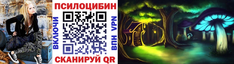 Купить  Вилючинск  Галлюциногенные грибы GOLDEN TEACHER 