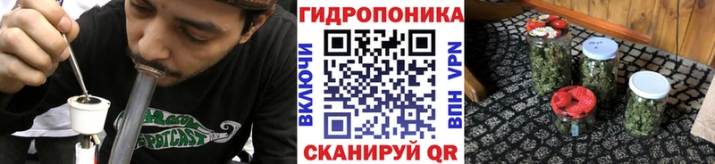 Купить где  Вилючинск  Марихуана семена 